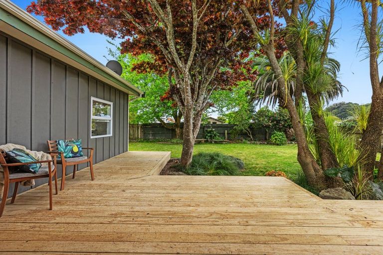 Photo of property in 46b2 Alexander Avenue, Whakatane, 3120