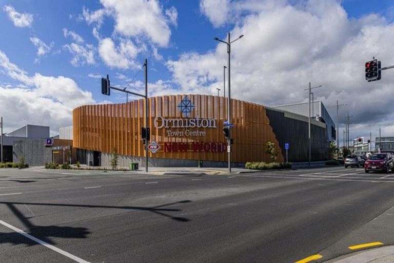 Photo of property in 17 Hearth Street, Flat Bush, Auckland, 2019