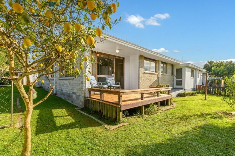 Photo of property in 36 Ridge Street, Otumoetai, Tauranga, 3110