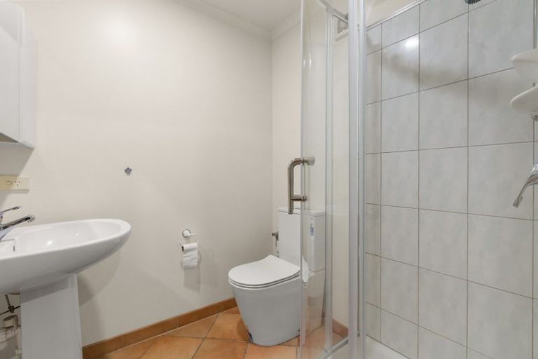 Photo of property in 19 Stella Place, Chartwell, Hamilton, 3210