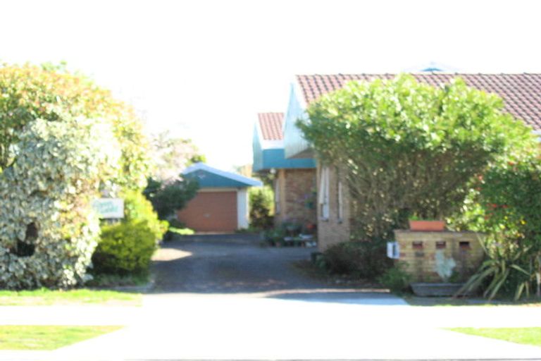 Photo of property in 2/6 Lindsay Street, Havelock North, 4130