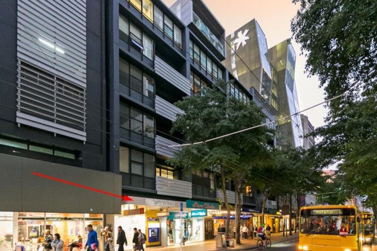 Photo of property in Gerondis Bldg Apartments, 407/60 Willis Street, Wellington Central, Wellington, 6011