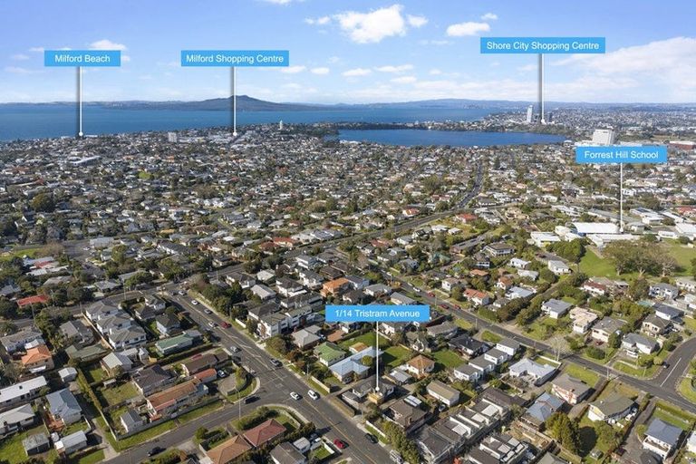 Photo of property in 1/14 Tristram Avenue, Forrest Hill, Auckland, 0620