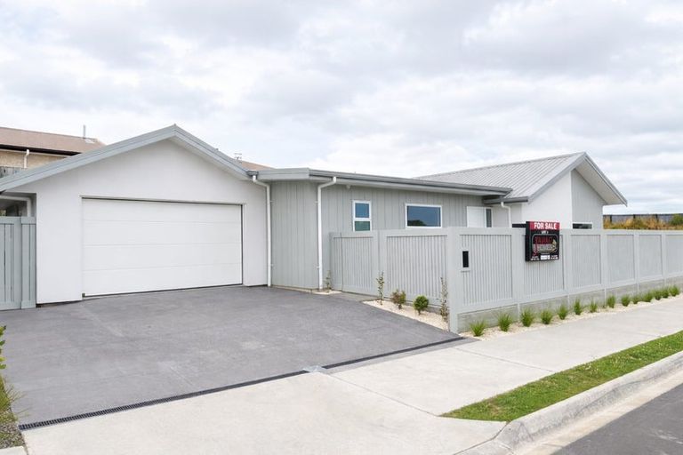 Photo of property in 5 Mangatainoka Lane, Awapuni, Palmerston North, 4412