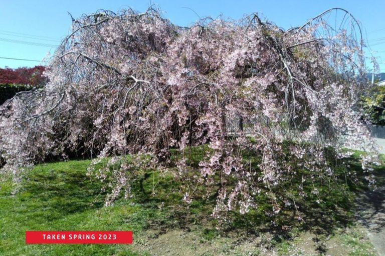 Photo of property in 11 Milton Street, Trentham, Upper Hutt, 5018