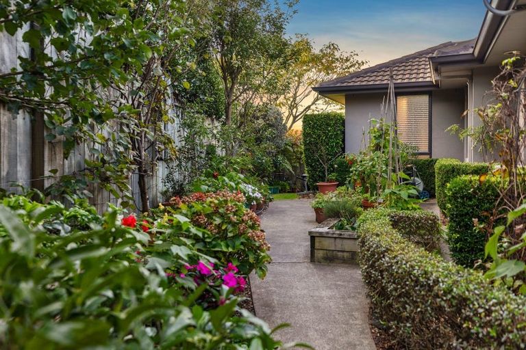 Photo of property in 53 Rexford Heights, Pyes Pa, Tauranga, 3112