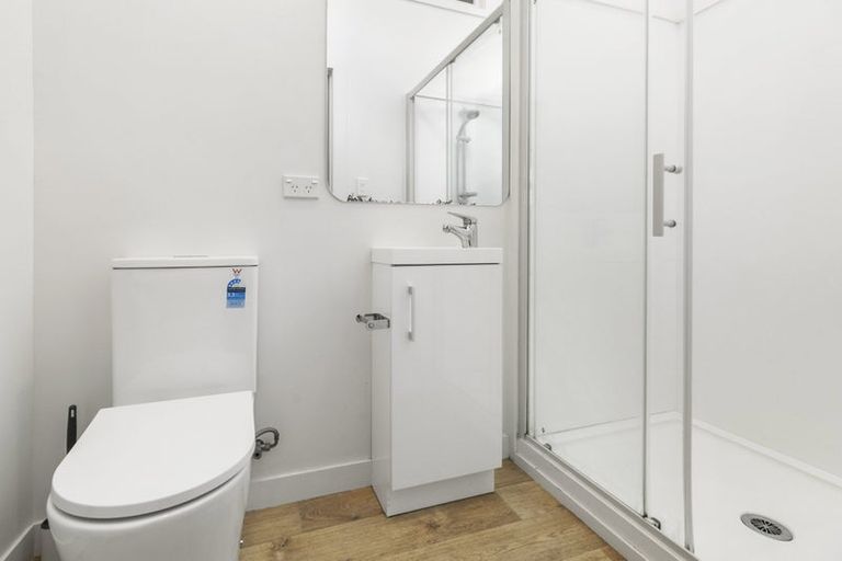 Photo of property in 117 Constable Street, Newtown, Wellington, 6021