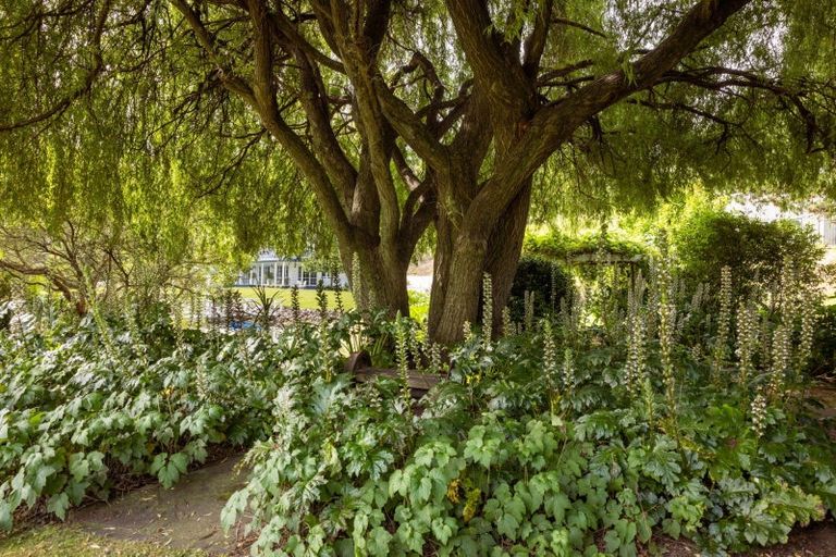 Photo of property in 14 Grasmere Way, Bethlehem, Tauranga, 3110