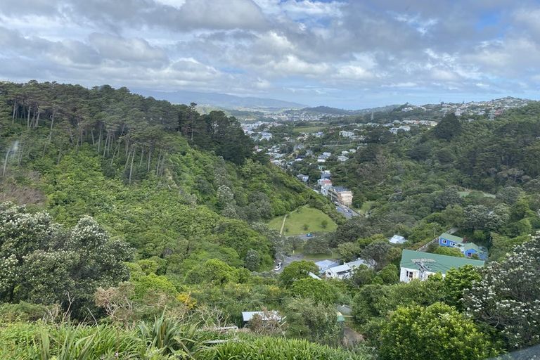 Photo of property in 3/21 Harrold Street, Aro Valley, Wellington, 6012