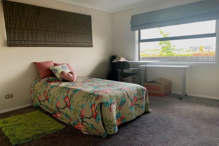 Photo of property in 41 Lulu Avenue, Chartwell, Hamilton, 3210