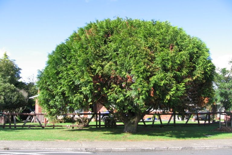 Photo of property in 81 Gloria Avenue, Te Atatu Peninsula, Auckland, 0610