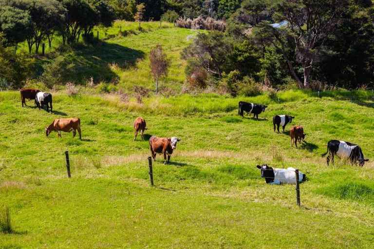 Photo of property in 64 De Boer Lane, Mangawhai, Kaiwaka, 0573