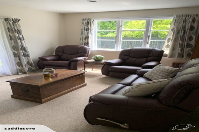 Photo of property in 56 Hastings Street, Southbridge, 7602