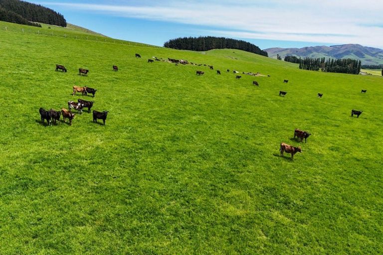 Photo of property in 242 Caroline Valley Road, Caroline, Dipton, 9791