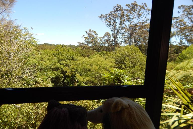Photo of property in 10 Peacock Garden Drive, Kerikeri, 0230