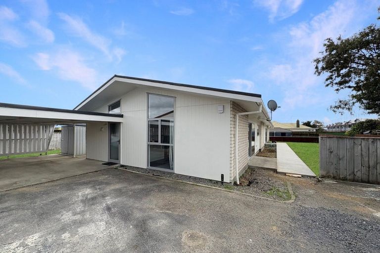 Photo of property in 65a Winchester Street, Levin, 5510