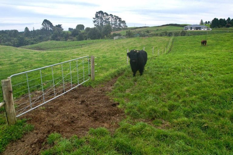 Photo of property in 718 Opunake Road, Cardiff, 4391