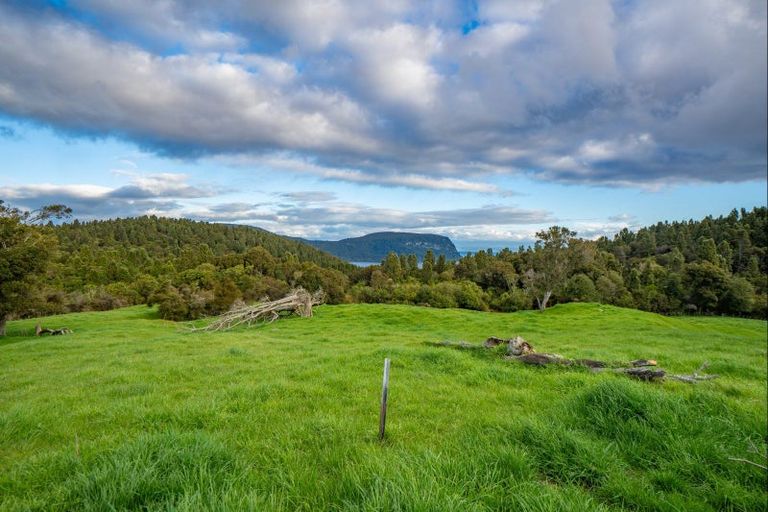 Photo of property in 431 Kawakawa Road, Marotiri, Taupo, 3377
