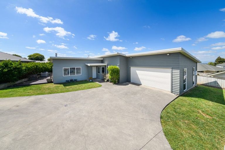 Photo of property in 54 Fraser Drive, Feilding, 4702