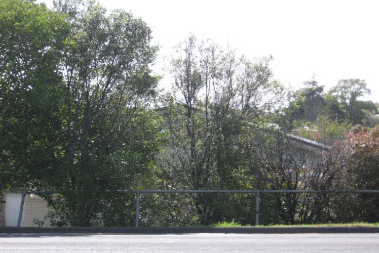 Photo of property in 297a Great North Road, Henderson, Auckland, 0612