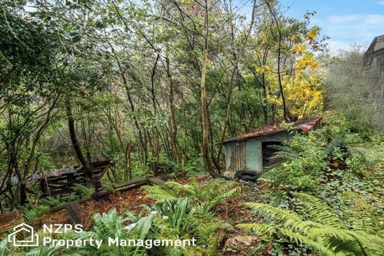 Photo of property in 19 Wairoa Street, Kaikorai, Dunedin, 9010