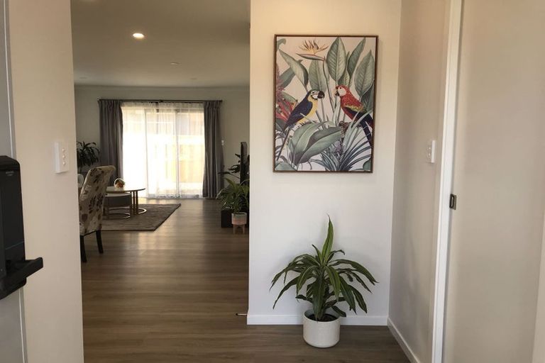 Photo of property in 52a Brussels Street, Miramar, Wellington, 6022