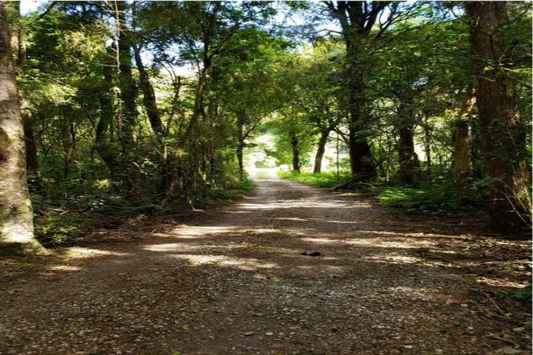 Photo of property in 275 Riwaka Valley Road, Riwaka, Motueka, 7198