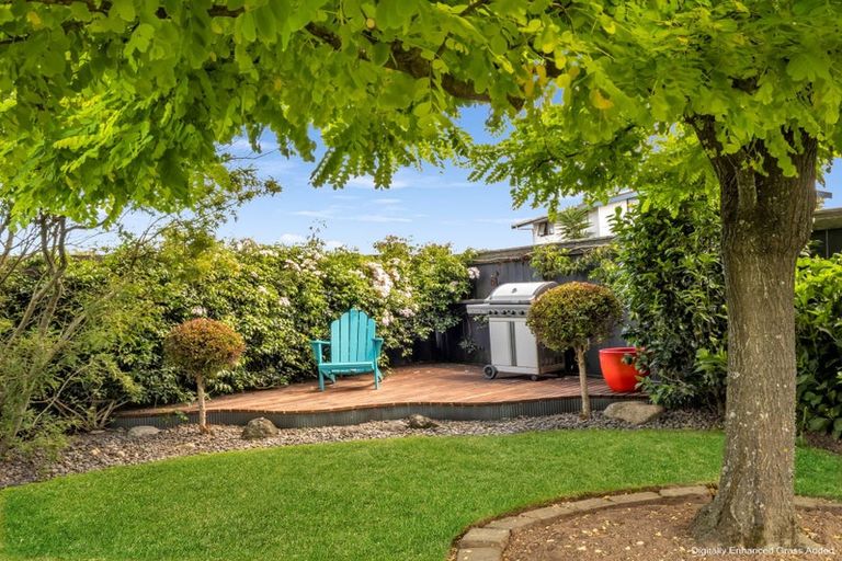 Photo of property in 11 Ngaio Street, Levin, 5510