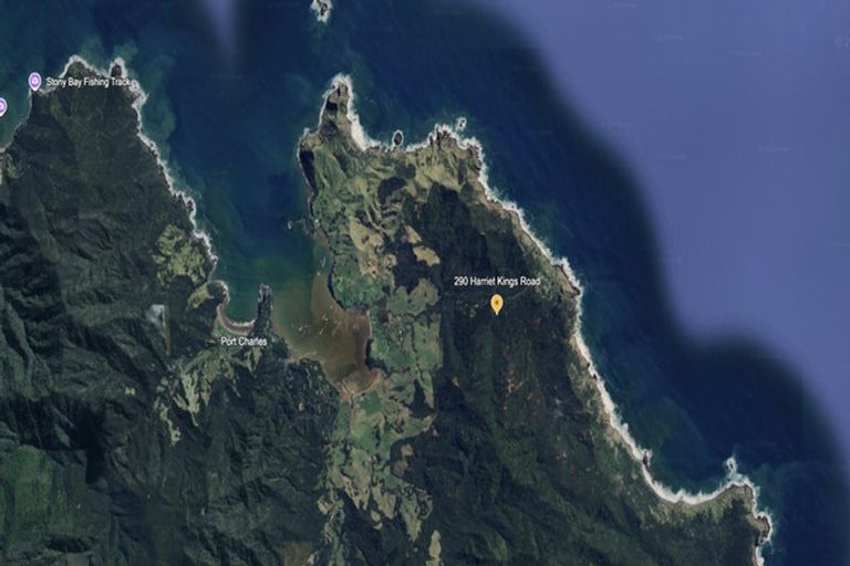 Photo of property in 290 Harriet Kings Road, Port Charles, Coromandel, 3584