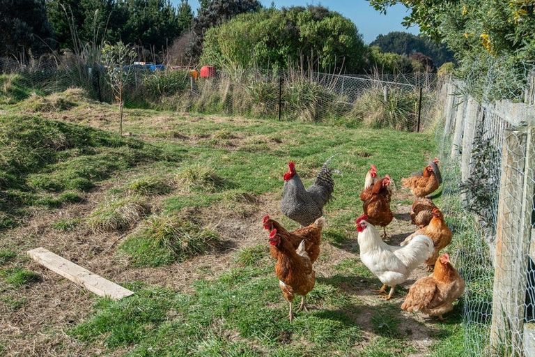 Photo of property in 432 Bull Creek Road, Glenledi, Milton, 9292