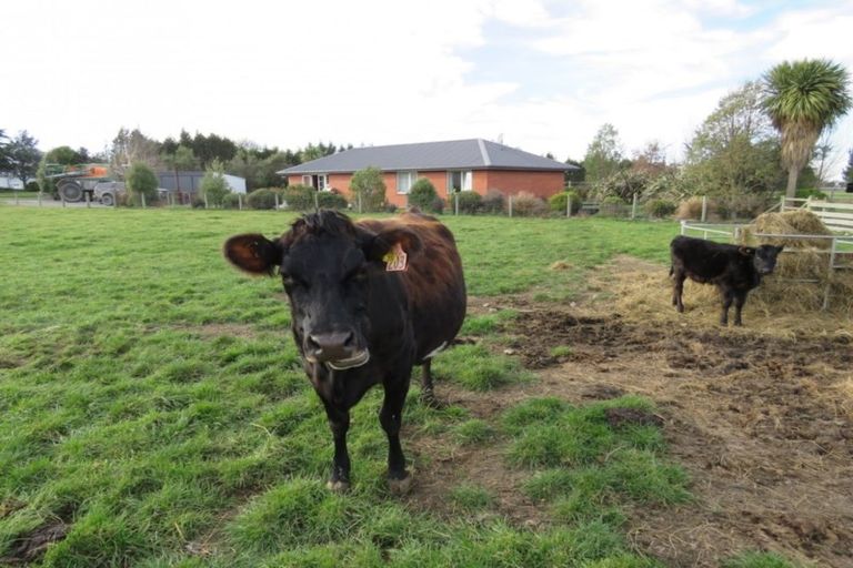 Photo of property in 44 Line Road, Methven, Ashburton, 7776