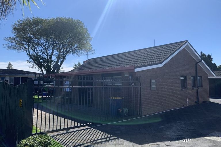 Photo of property in 16 Frank Evans Place, Henderson, Auckland, 0610