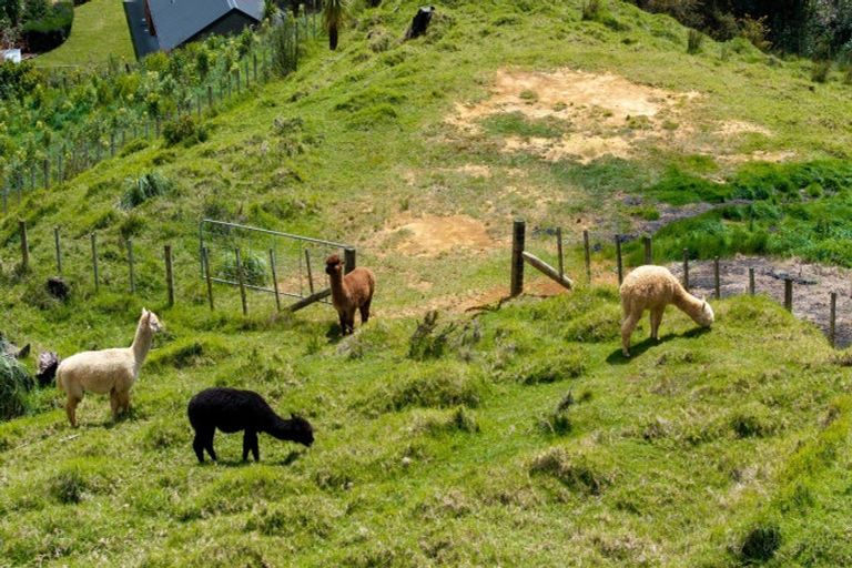 Photo of property in 4 Maungatawhiri Road, Raglan, 3295