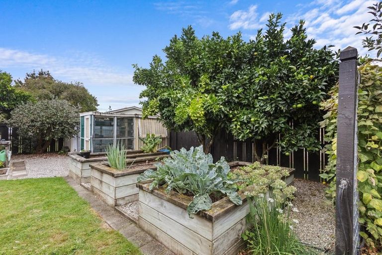 Photo of property in 11 Conrad Place, Leamington, Cambridge, 3432