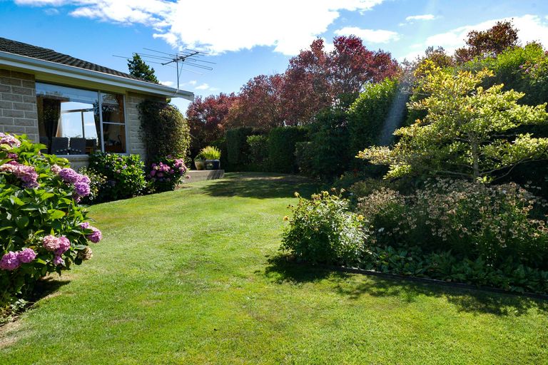 Photo of property in 39 Kirkwall Street, Palmerston, 9430