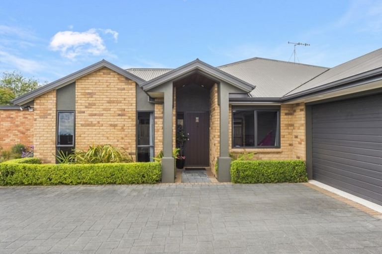 Photo of property in 19 Holford Place, Huntington, Hamilton, 3210