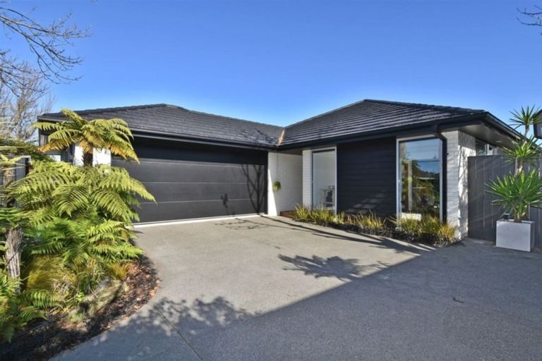 Photo of property in 7 Jameson Avenue, St Albans, Christchurch, 8052