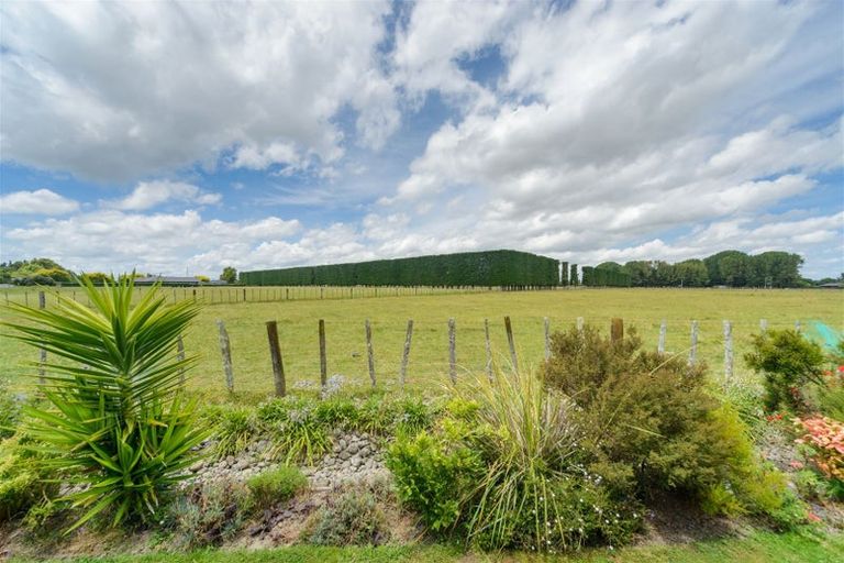 Photo of property in 36 Accolade Street, Feilding, 4702