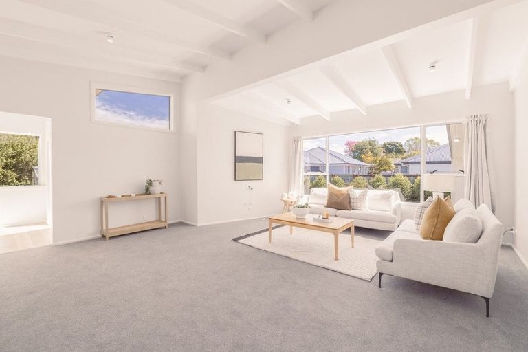 Photo of property in 20 Derrett Place, Saint Martins, Christchurch, 8022