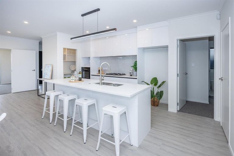 Photo of property in 11 Earp Crescent, Chartwell, 3210