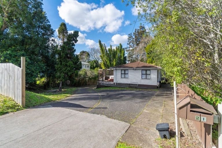 Photo of property in 21 Nikau Street, New Lynn, Auckland, 0600