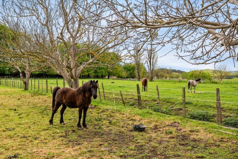 Photo of property in 559 Raukawa Road, Raukawa, Hastings, 4174