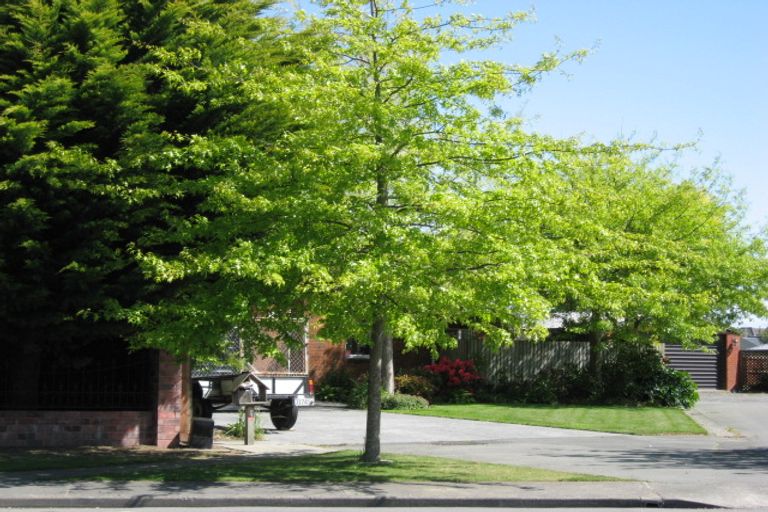 Photo of property in 6 Harrall Place, Kaiapoi, 7630