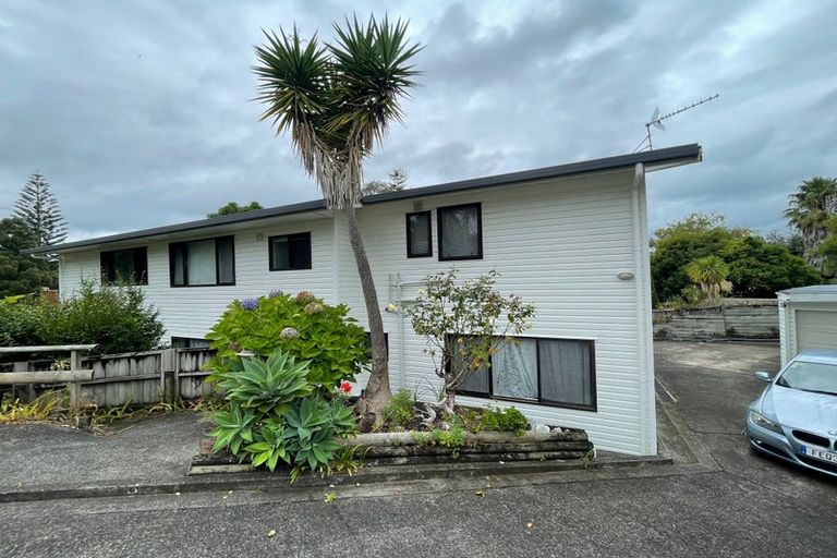 Photo of property in 87 Glamorgan Drive, Torbay, Auckland, 0630