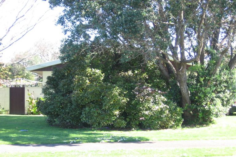 Photo of property in 424a Maungatapu Road, Maungatapu, Tauranga, 3112