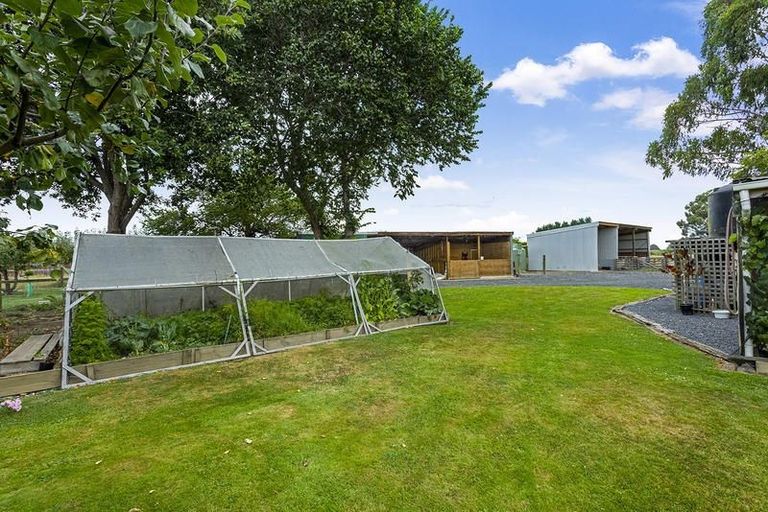 Photo of property in 41 Hazlett Road, Mosgiel, 9092
