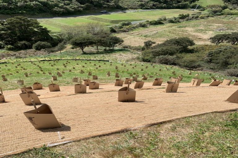 Photo of property in 21 Skylark Rise, Todds Valley, Nelson, 7071