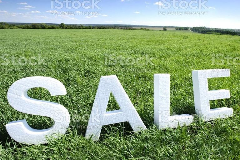 Photo of property in 15 Lomond Avenue, Tokoroa, 3420