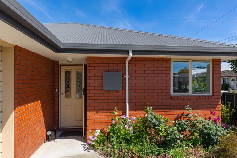 Photo of property in 113 Charles Street, Blenheim, 7201