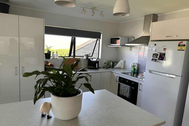 Photo of property in 53 Paine Street, Judea, Tauranga, 3110